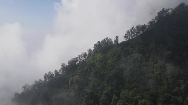 Légi Kilátás Foggy Trópusi Erdő Lawu Mountain Indonéziában — Stock videók