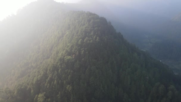 Légi Kilátás Ködös Ködös Erdő Hegyekben Napsugár Reggel — Stock videók