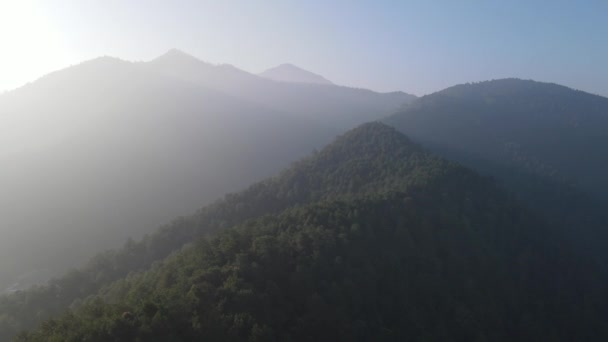 Вид Воздуха Туманный Туманный Лес Горах Лучами Солнца Утром — стоковое видео