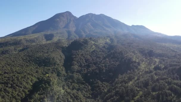 Vista Aérea Pico Lawu Mountain Indonesia Con Cielo Despejado Por — Vídeos de Stock