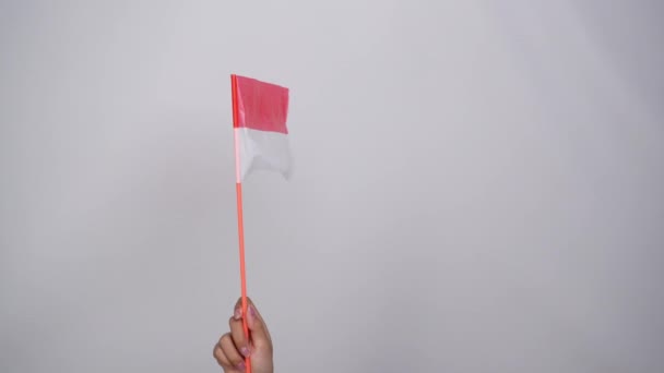 印度尼西亚国旗飘扬庆祝独立日的肖像 被白色背景隔离 — 图库视频影像