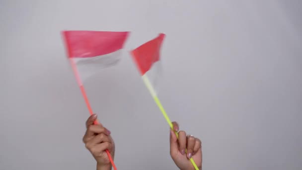 Porträt Einer Schwenkenden Indonesischen Flagge Zum Unabhängigkeitstag Isoliert Von Weißem — Stockvideo
