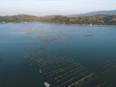 Rowo Jombro Gölü 'nün hava aracı görüntüsü Klaten, Endonezya' da bir sürü balık havuzu var.