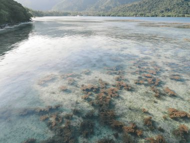 Karimunjawa Adaları, Jepara, Endonezya 'daki Bobby Sahili' nin havadan görünüşü. Uzak Ada, mercan resifleri, beyaz kumlu plajlar.
