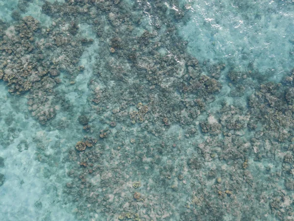 Karimunjawa, Coral Coast Çevre Koruma Alanı, Karimunjawa, Jepara, Endonezya 'daki resiflerin havadan görünüşü.