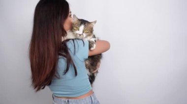 Sarı gözlü sevimli bir angora kedisi tutan genç Asyalı kadın. Beyaz arka planda, sevimli, uzun saçlı kediciğine sarılan bir kadın. Tapılası evcil hayvan konsepti.