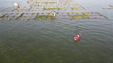 Kedi balığı gibi gölde balık yetiştirmek, dalgıçlara alternatif olarak besin sağlar..