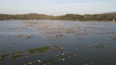 Kedi balığı gibi gölde balık yetiştirmek, dalgıçlara alternatif olarak besin sağlar..