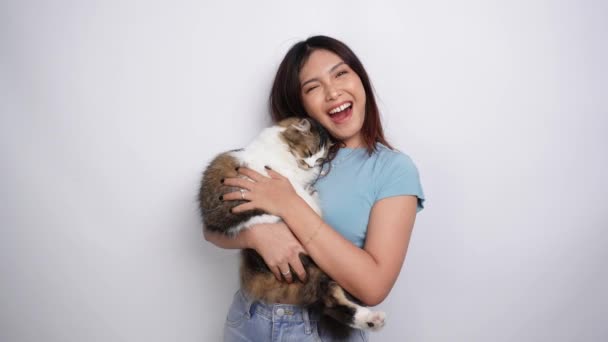 Jovem Mulher Asiática Alegre Segurando Abraçando Gato Angorá Bonito Com — Vídeo de Stock