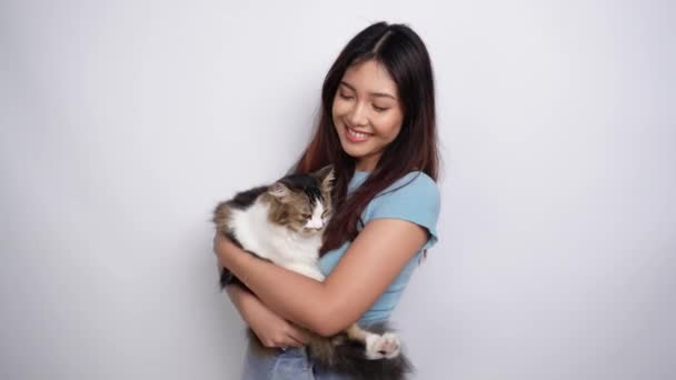 배경으로 눈으로 귀여운 앙고라 고양이를 포옹하는 쾌활한 아시아 사랑스러운 — 비디오