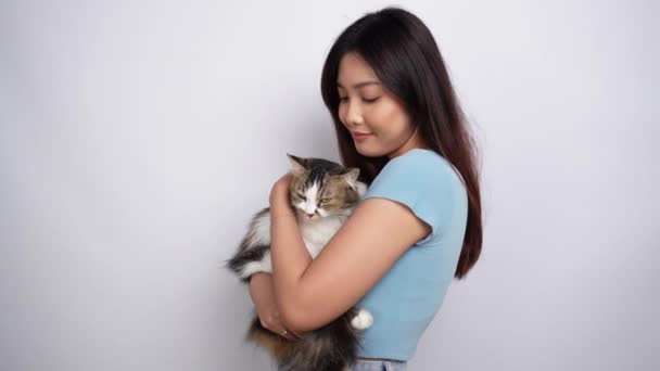 Jovem Mulher Asiática Abraçando Gato Angorá Bonito Com Olhos Amarelos — Vídeo de Stock
