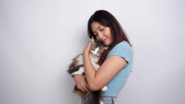 배경으로 감정적 지원을 눈으로 귀여운 앙고라 고양이를 포옹하는 아시아 사랑스러운 — 비디오