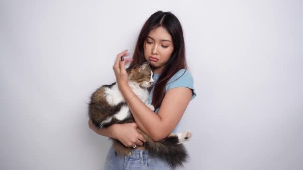 아시아의 그녀의 귀여운 긴머리 그녀의 고양이 배경에 사랑스러운 — 비디오