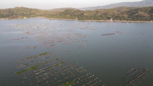 Cultiver Des Poissons Sur Lac Tels Que Poisson Chat Est — Video