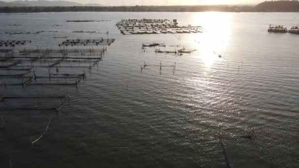 湖上养鱼的日落场景 如猫鱼 可以替代潜水者的食物营养 — 图库视频影像
