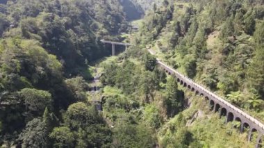 Plunyon, Yogyakarta, Endonezya 'daki ormanın ortasındaki bir köprünün insansız hava aracı görüntüsü