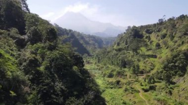 Endonezya 'daki Merapi Dağı' nın doğal manzarası