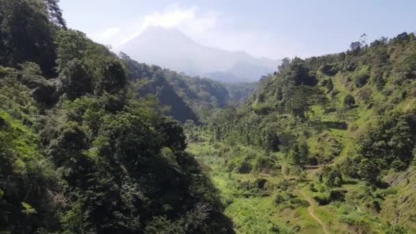Paisajes Naturales Zona Valle Montaña Merapi Indonesia — Vídeos de Stock