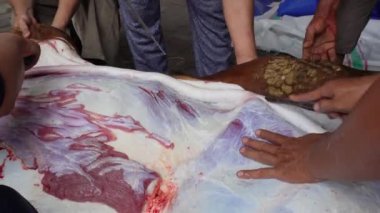 Kasap çiğ keçi etini bıçakla keser. Ied al adha kavramı