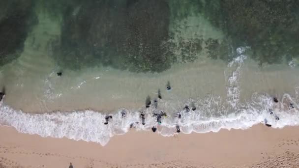 ジョグジャカルタ インドネシアのビーチで休暇を過ごす傘 ボート 人々の空中ドローンビュー — ストック動画
