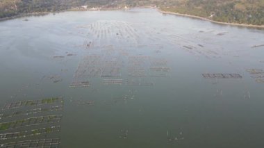 Kedi balığı gibi gölde balık yetiştirmenin hava günbatımı görüntüsü dalgıçlara alternatif olarak besin besinidir..