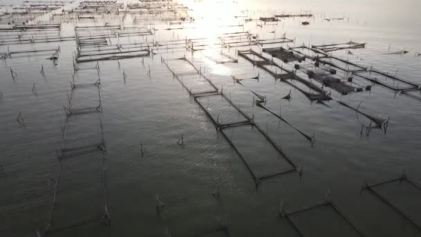 从空中日落的角度来看 在湖上养殖鱼 如猫鱼 可以替代潜水者的食物营养 — 图库视频影像