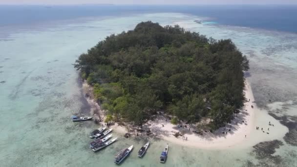 카리문자와 인도네시아의 산호초 최고의 관광지 최고의 다이빙 스노클링 — 비디오