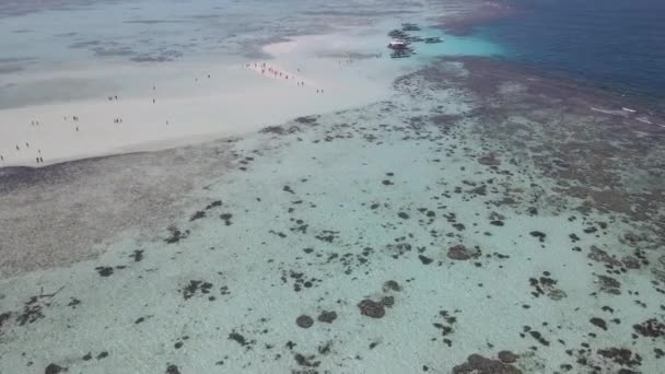 Vue Aérienne Île Menjangan Kecil Karimunjawa Jepara Indonésie Récifs Coralliens — Video