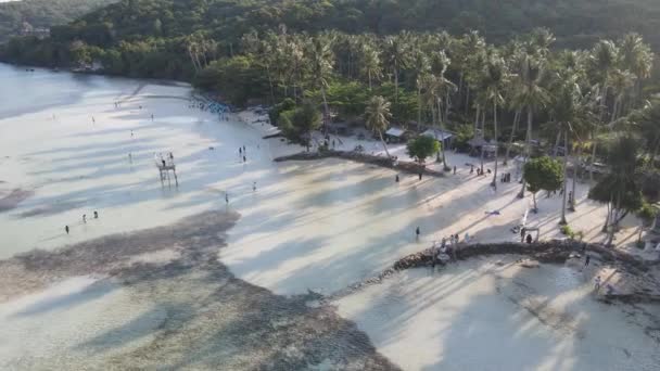 Flygfoto Över Bobby Beach Karimunjawa Islands Jepara Indonesien Fjärrön Korallrev — Stockvideo