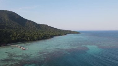 Endonezya 'nın Karimunjawa adasındaki ağaçların ve doğa ormanlarının yukarıdan görünüşü.