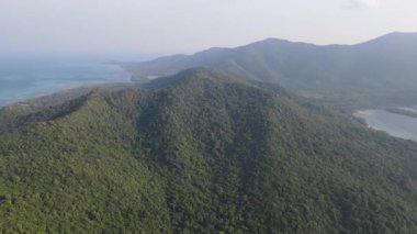 Endonezya 'nın Karimunjawa adasındaki ağaçların ve doğa ormanlarının yukarıdan görünüşü.