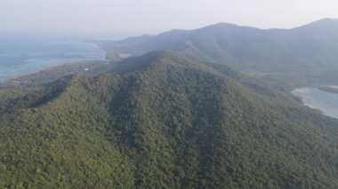 Endonezya 'nın Karimunjawa adasındaki ağaçların ve doğa ormanlarının yukarıdan görünüşü.