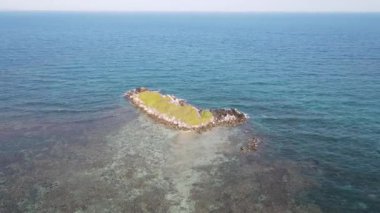 Karimunjawa Adaları, Jepara, Endonezya 'daki uzak adanın havadan görüntüsü. Mercan kayalıkları, beyaz kumlu plajlar. En iyi turistik yer, en iyi şnorkelle yüzme..