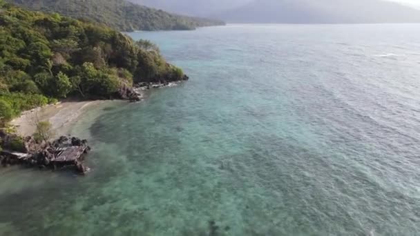 印度尼西亚Karimunjawa岛热带森林的空中景观 在树木和自然森林上方俯瞰 — 图库视频影像