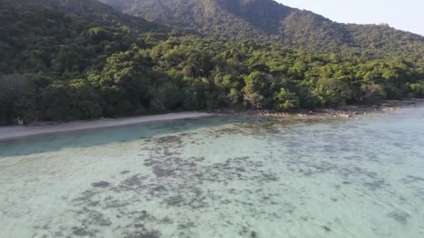 Luchtfoto Van Tropisch Bos Karimunjawa Indoensia Boven Bomen Natuurbos Top — Stockvideo