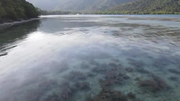 Вид Воздуха Пляж Бобби Каримунджаве Джепара Индонезия Удаленный Остров Коралловые — стоковое видео