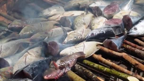 Grilled Fish Traditional Bonfire Lunch Royalty Free Stock Video