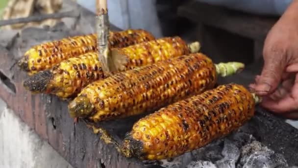 Grilled Sweet Corn Ready Eaten — Stock Video