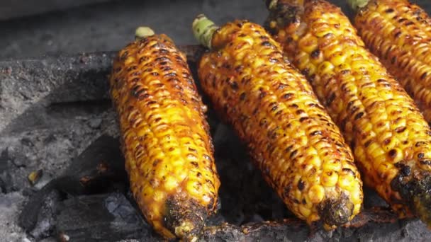 Grilled Sweet Corn Ready Eaten — Stock Video