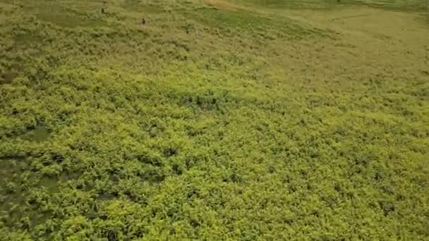 火灾后的布罗莫景观 从布罗莫的空中景观 戏剧性的山丘上美丽的风景 — 图库视频影像