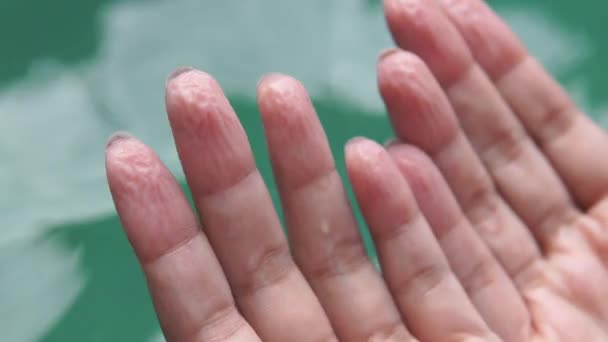 Imagens Close Mãos Femininas Com Rugas Depois Longa Natação Piscina — Vídeo de Stock