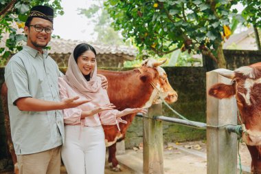 Genç Asyalı Müslüman çift, arkalarında kurban olarak sığır sunuyorlar. Kurban Bayramı kavramı.
