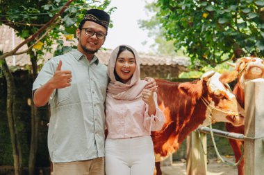 Gülümseyen genç Asyalı Müslüman çift kurban için ineklerin önünde baş parmak işareti yapıyor. Kurban Bayramı kavramı.