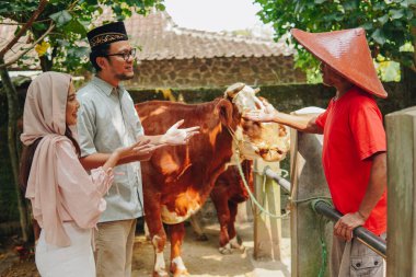 Asyalı Müslüman çifte kurban olarak hayvan inekleri sunan bir sığır çobanı portresi. Kurban Bayramı kavramı.