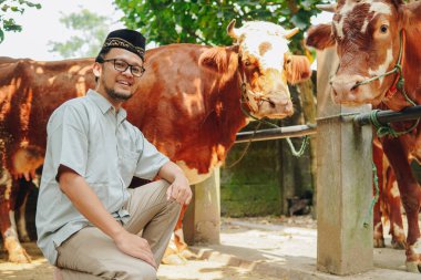 Yakışıklı Asyalı Müslüman adam diz çöküp arkasında kurbanlık hayvanlarla poz veriyor. Kurban Bayramı kavramı.