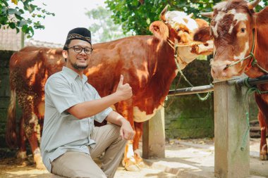 Gülümseyen Asyalı Müslüman adam diz çökerken arkasında kurbanlık hayvanlar için ineklerle baş parmak işareti yapıyor. Kurban Bayramı kavramı.