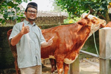 Yakışıklı, Asyalı, genç Müslüman adam kurbanlık hayvanlarla baş parmak işareti yapıyor. Kurban Bayramı kavramı.
