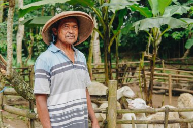 Endonezyalı bir sığır çobanının portresi kurban etmek için çiftlik hayvanı keçilerinin önünde ciddi bir ifadeyle poz veriyor. Kurban Bayramı kavramı.