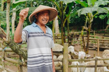 Mutlu Endonezyalı sığır çobanı arkasında kurban olarak hayvan keçilerine baş parmak işareti yapıyor. Kurban Bayramı kavramı.