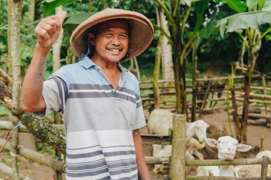 Mutlu Endonezyalı sığır çobanı arkasında kurban olarak hayvan keçilerine baş parmak işareti yapıyor. Kurban Bayramı kavramı.